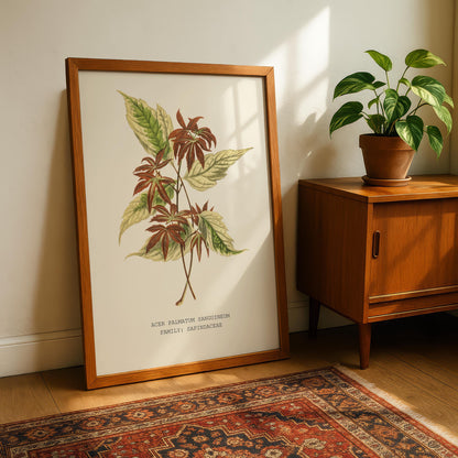 Japanese Maple Print