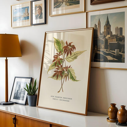 Japanese Maple Print