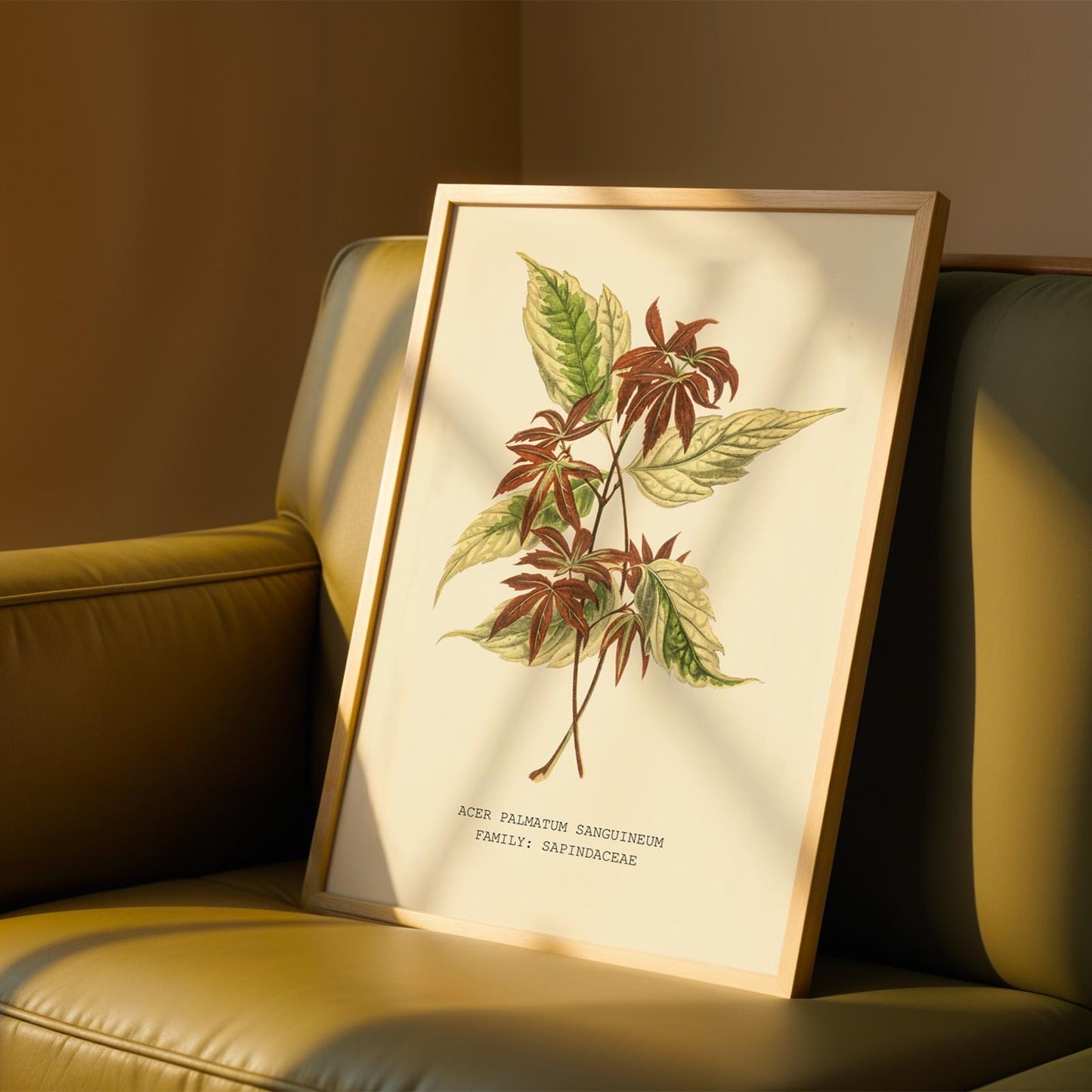 Japanese Maple Print