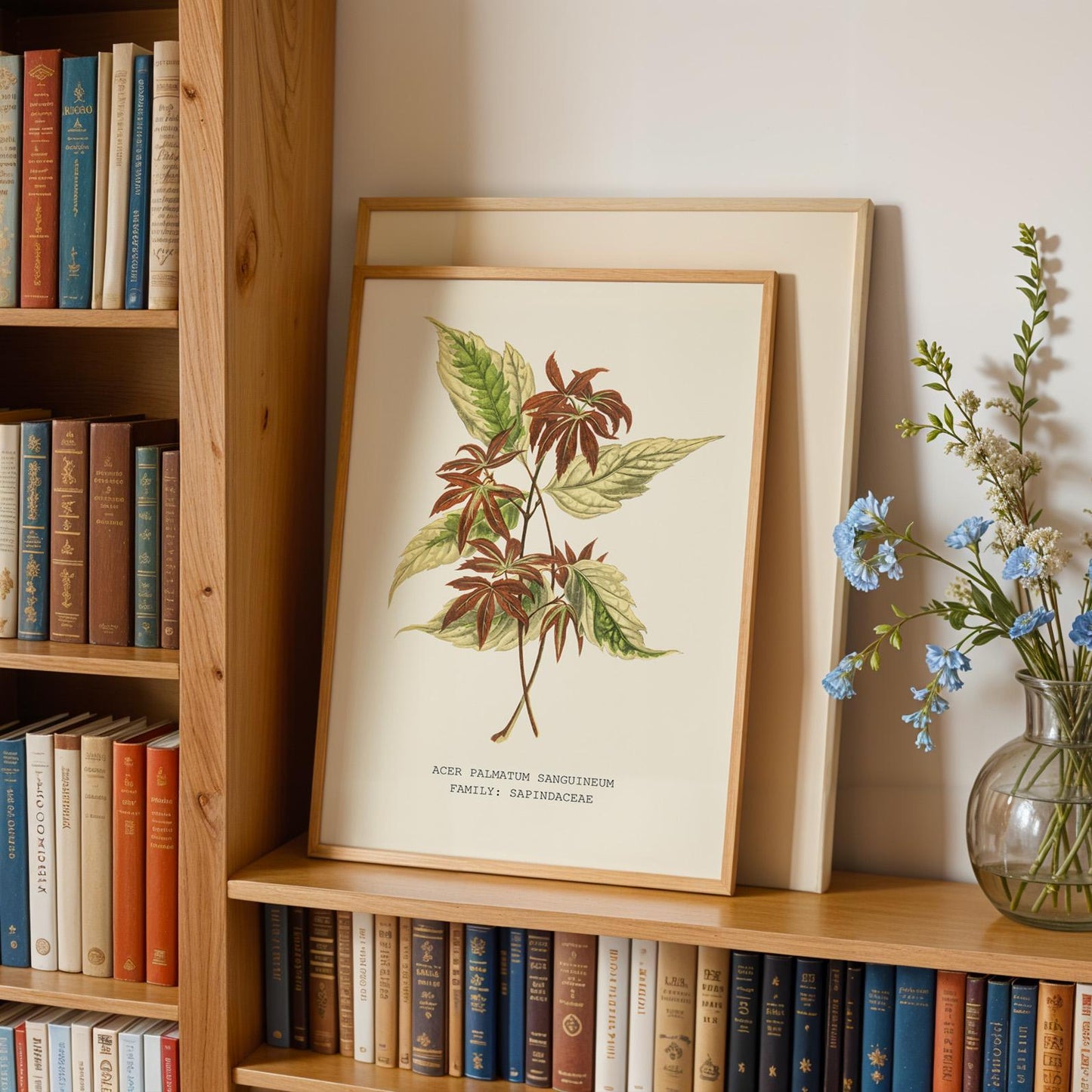 Japanese Maple Print