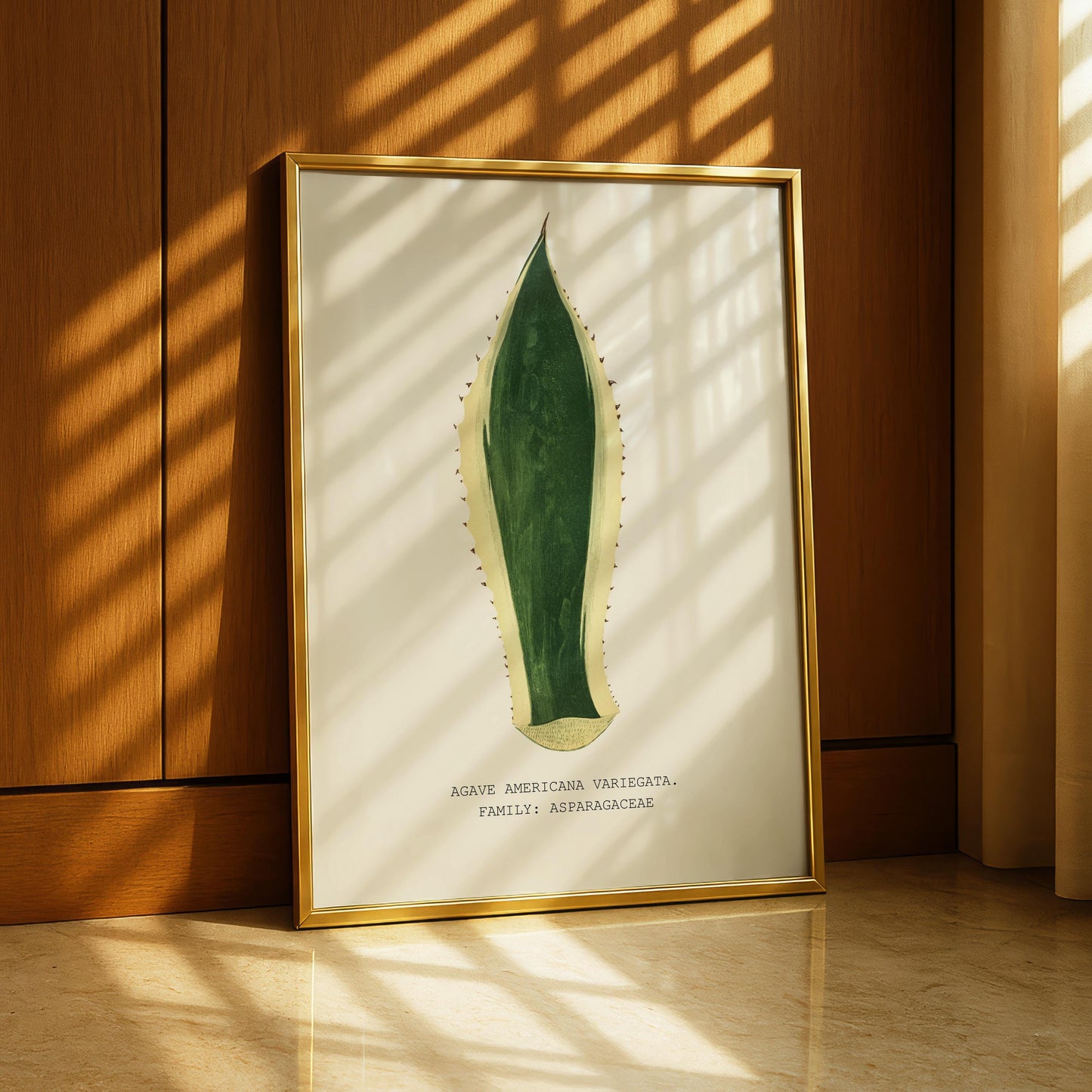 Variegated Agave Print