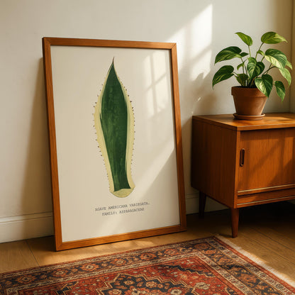Variegated Agave Print