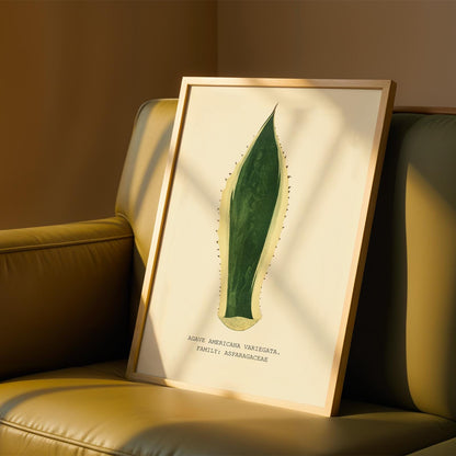 Variegated Agave Print