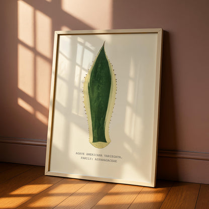 Variegated Agave Print