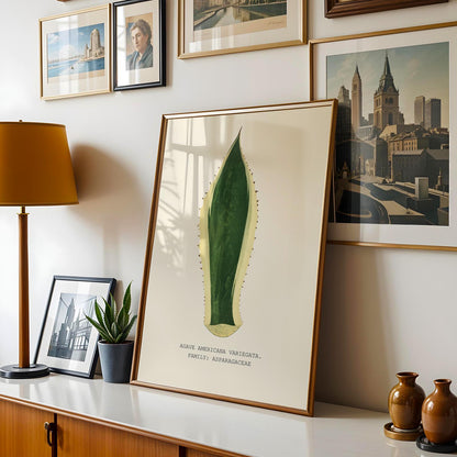 Variegated Agave Print
