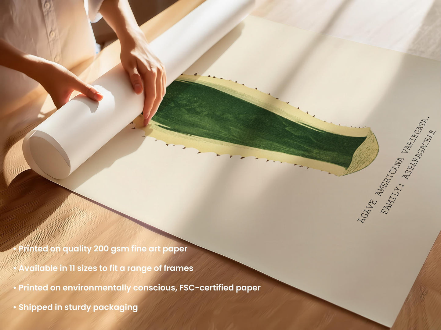 Variegated Agave Print