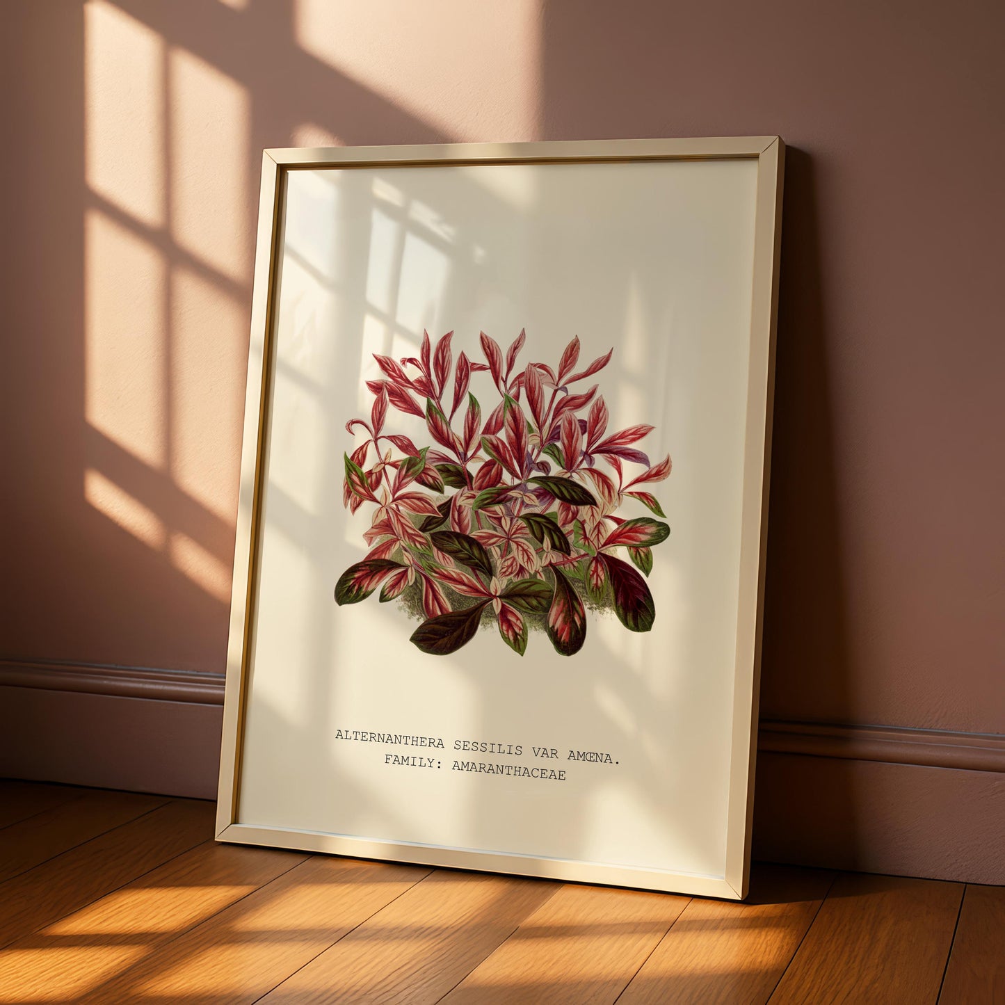 Alternanthera Sessilis Print