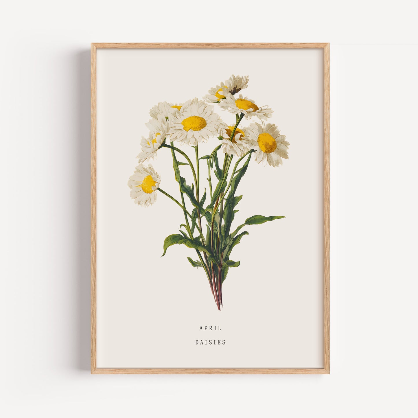 April Daisy Birth Flower Print