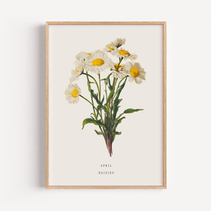 April Daisy Birth Flower Print