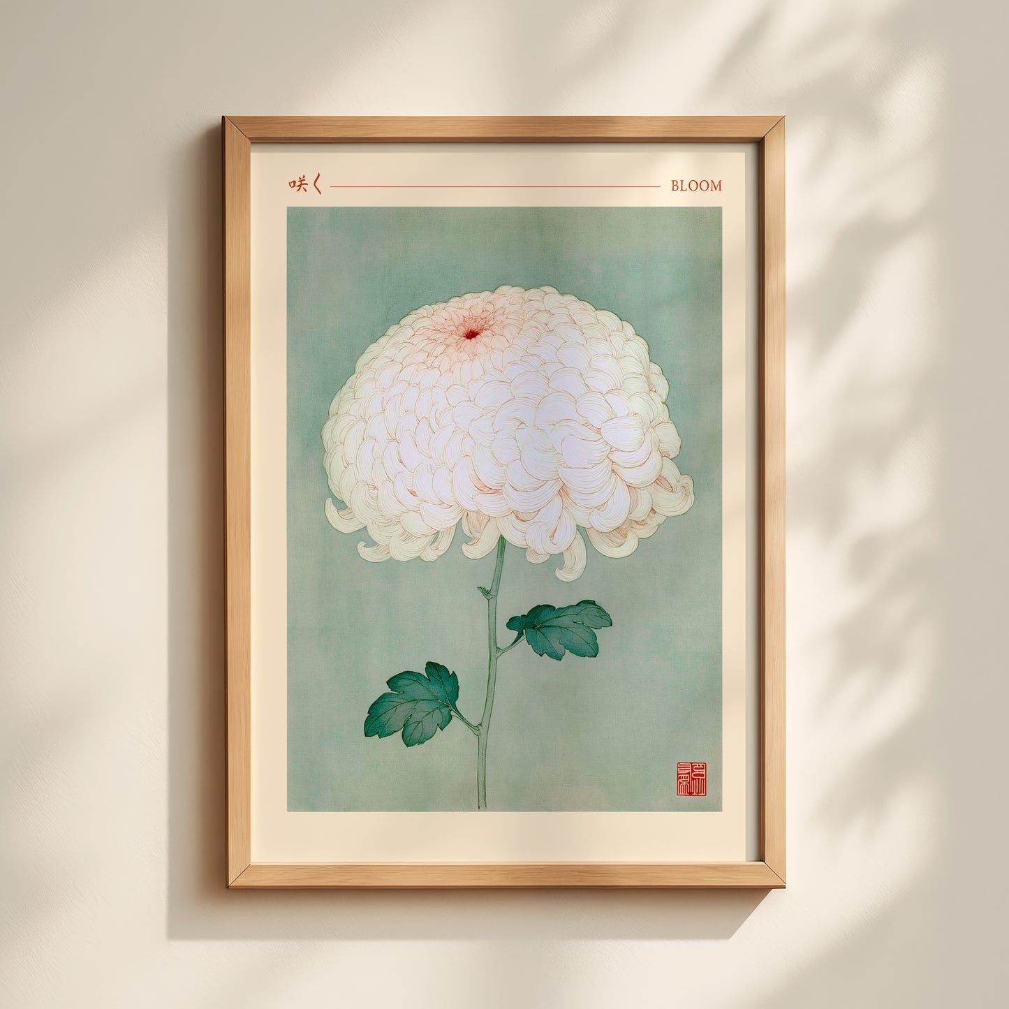 Bloom Chrysanthemum Print