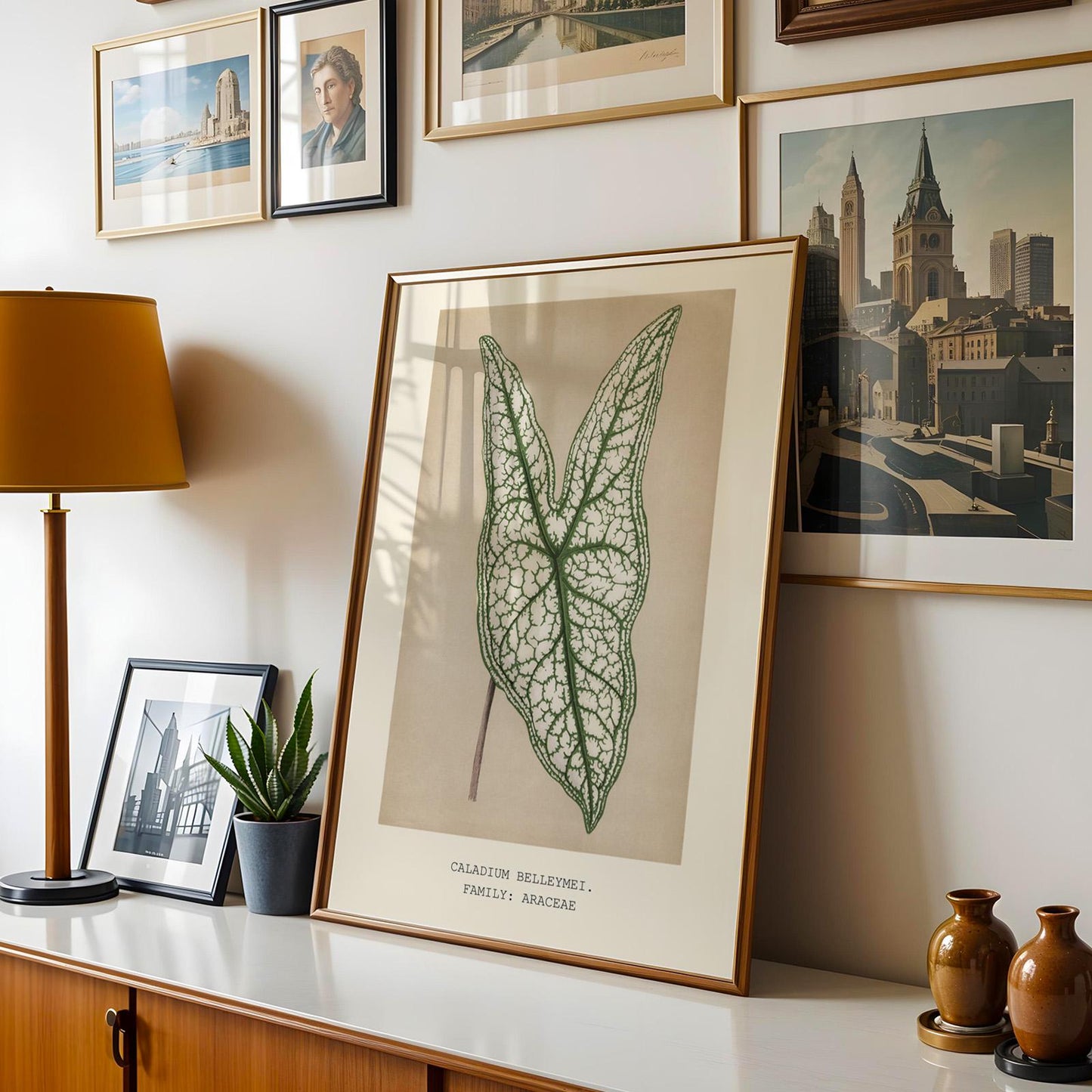 Caladium Belleymei Print