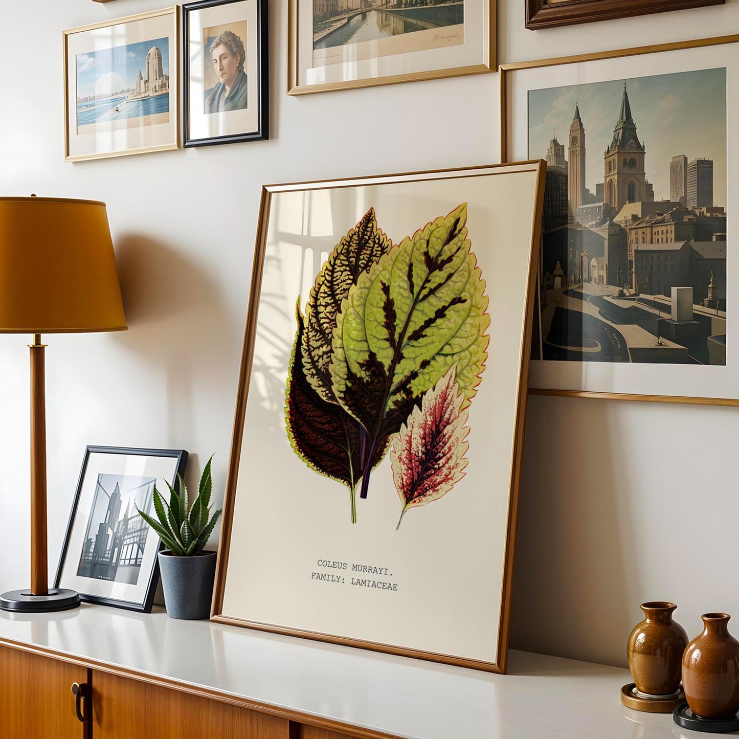 Coleus Murrayi Botanical Print