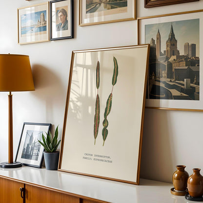 Croton Interruptum Print