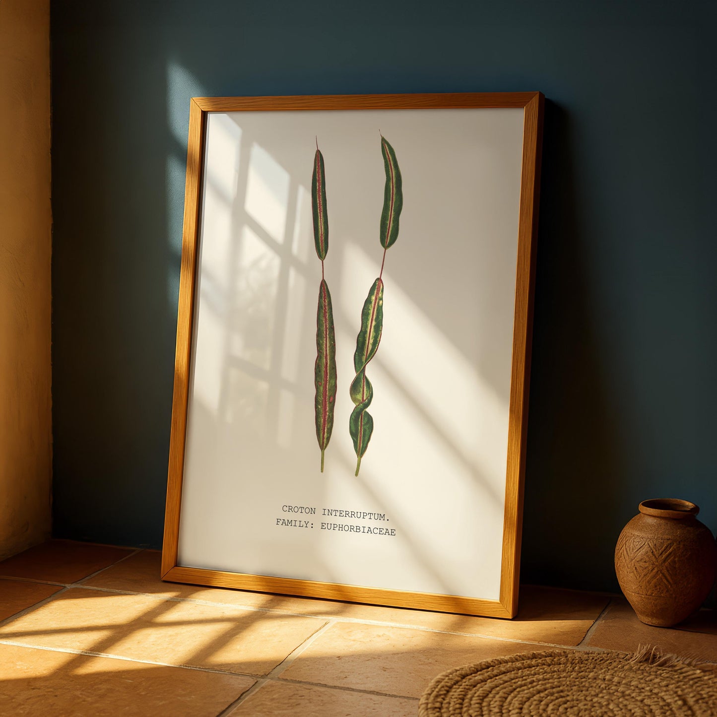 Croton Interruptum Print