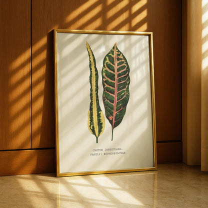 Croton Irregulare Print