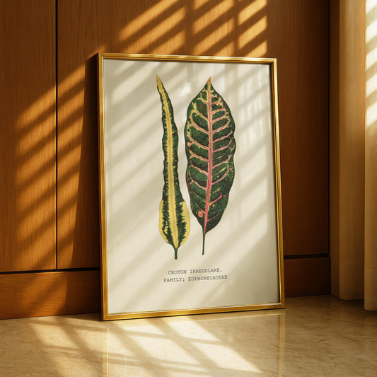 Croton Irregulare Print