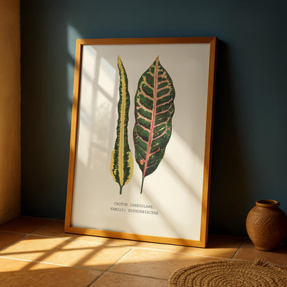 Croton Irregulare Print
