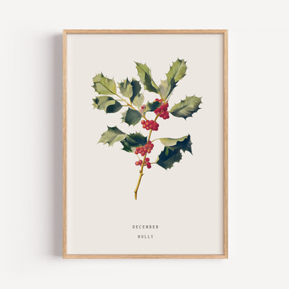 December Holly Birth Flower Print