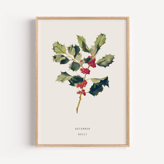 December Holly Birth Flower Print