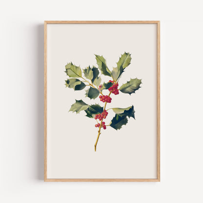 December Holly Birth Flower Print
