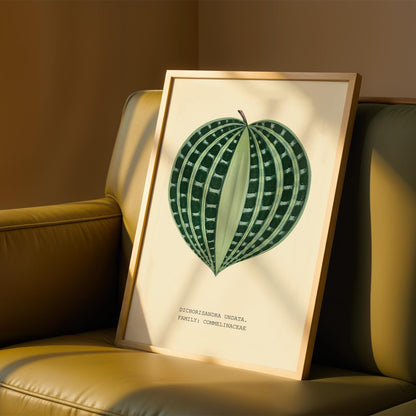 Dichorisandra Undata Botanical Print