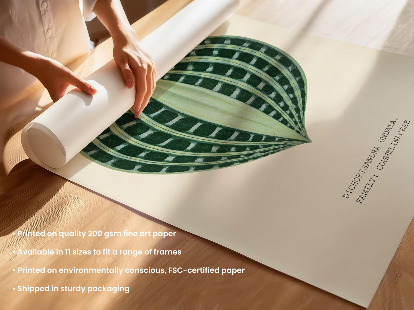 Dichorisandra Undata Botanical Print