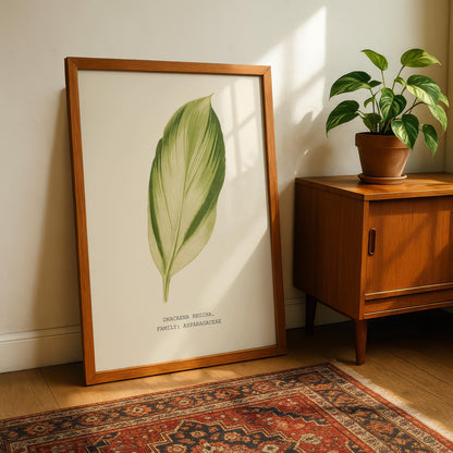 Dracaena Regina Print