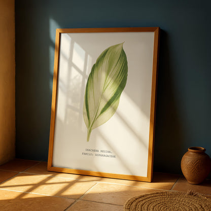 Dracaena Regina Print