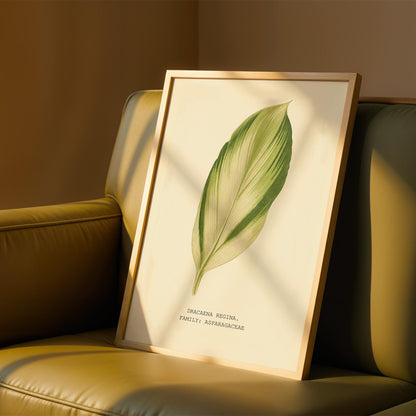 Dracaena Regina Print