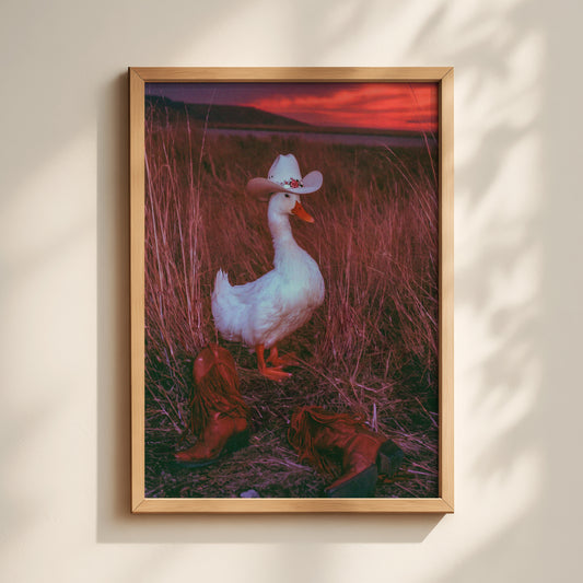 Dusk Cowgirl Duck Print