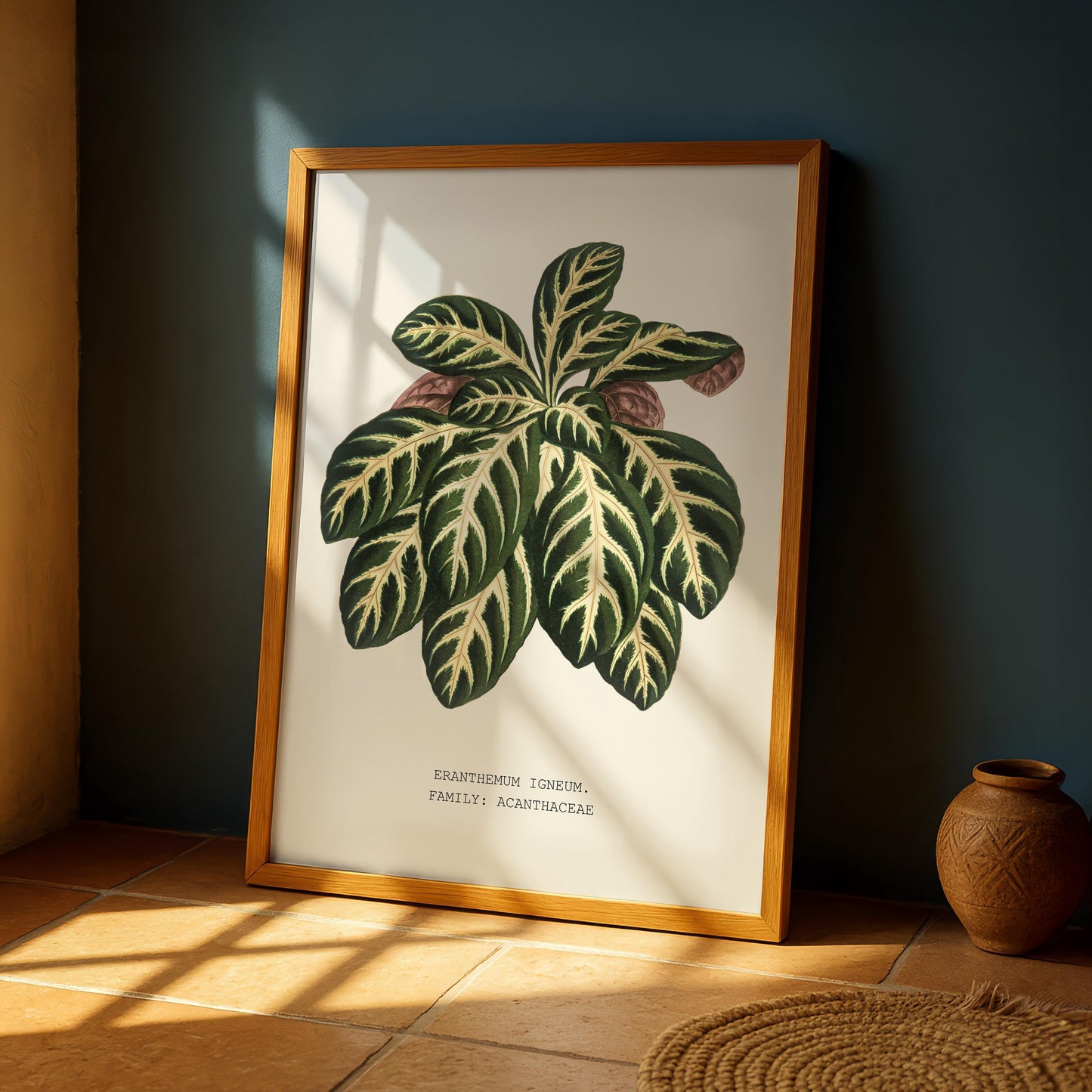 Eranthemum Igneum Botanical Print