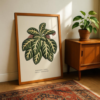 Eranthemum Igneum Botanical Print
