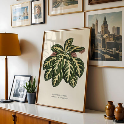 Eranthemum Igneum Botanical Print