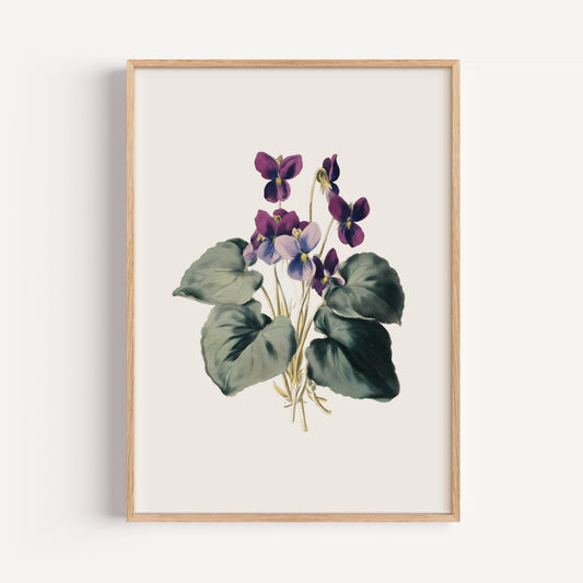 February Violet Birth Flower Print