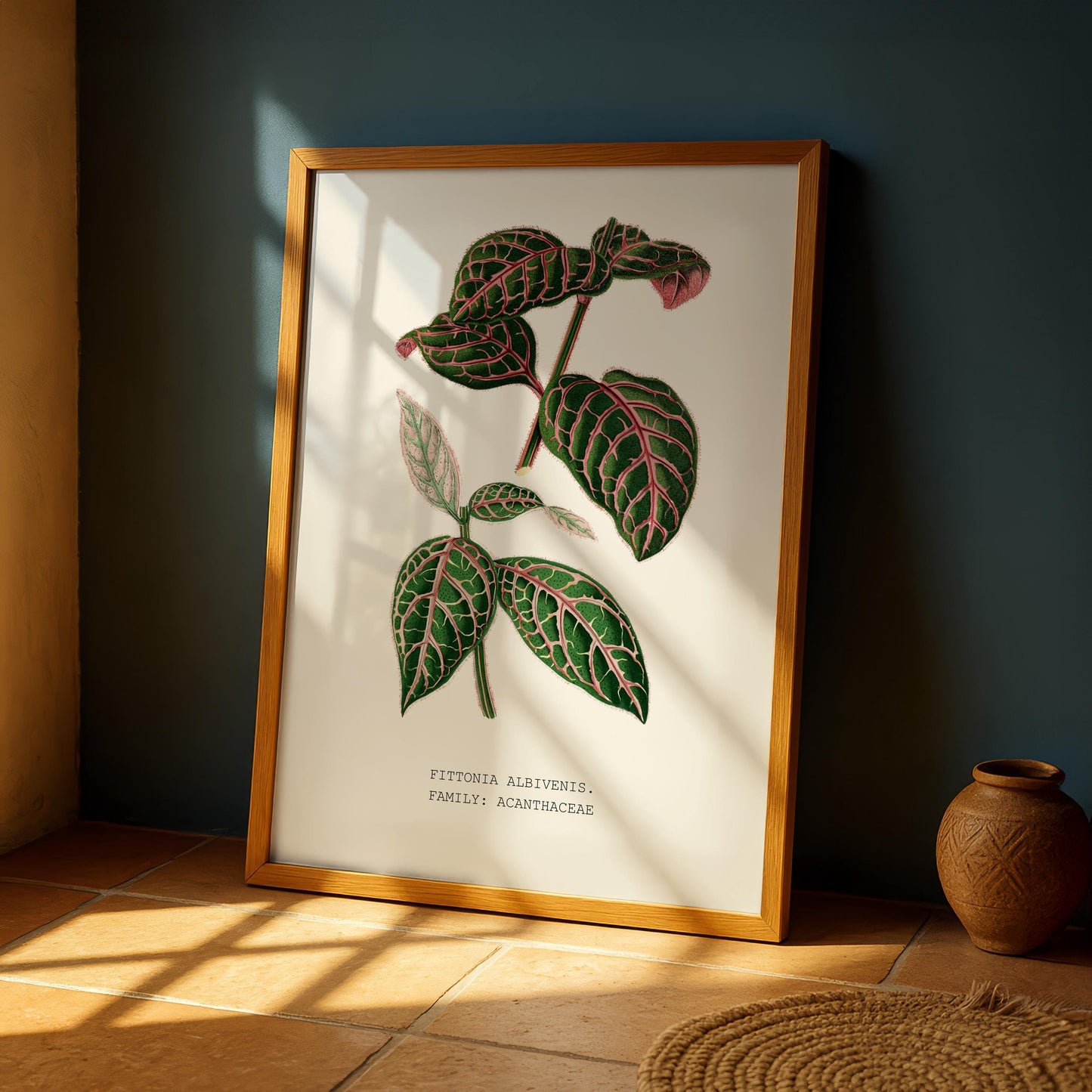 Fittonia Albivenis Print