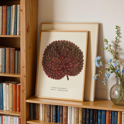 Gesnera Exoniensis Leaf Print