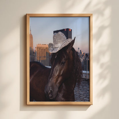 Midnight Cowgirl Horse Print