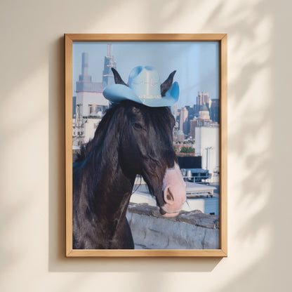 Baby Blue Cowgirl Horse Print