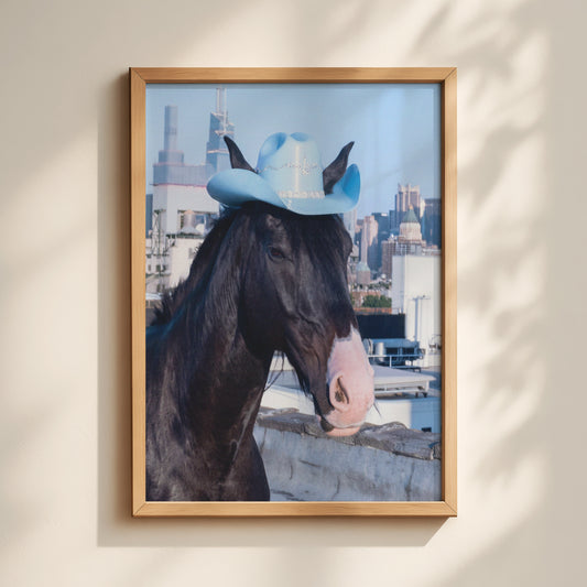Baby Blue Cowgirl Horse Print