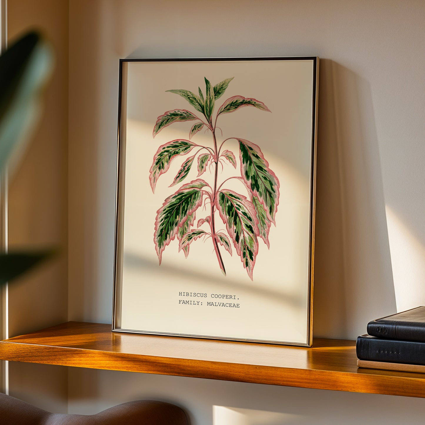Variegated Hibiscus Print