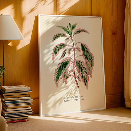 Variegated Hibiscus Print