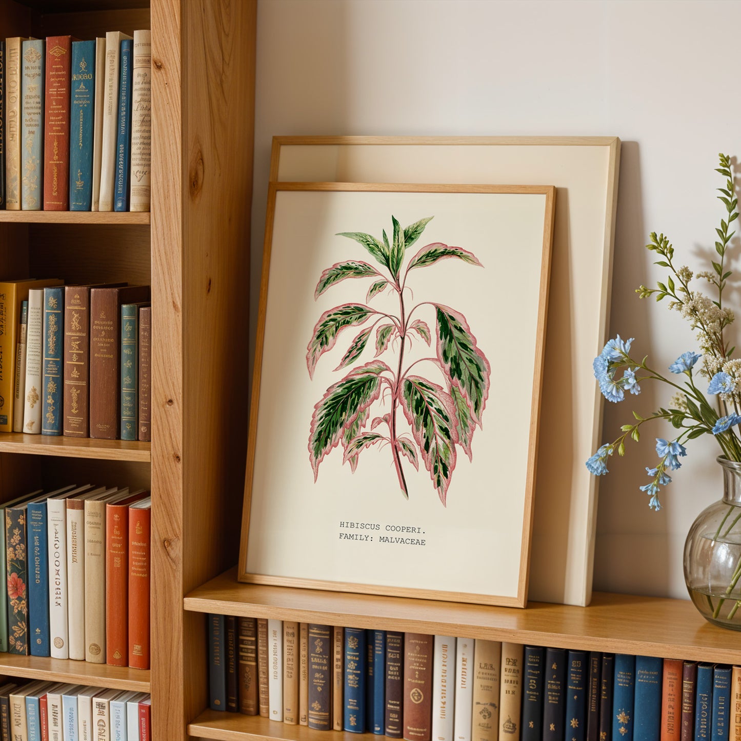 Variegated Hibiscus Print