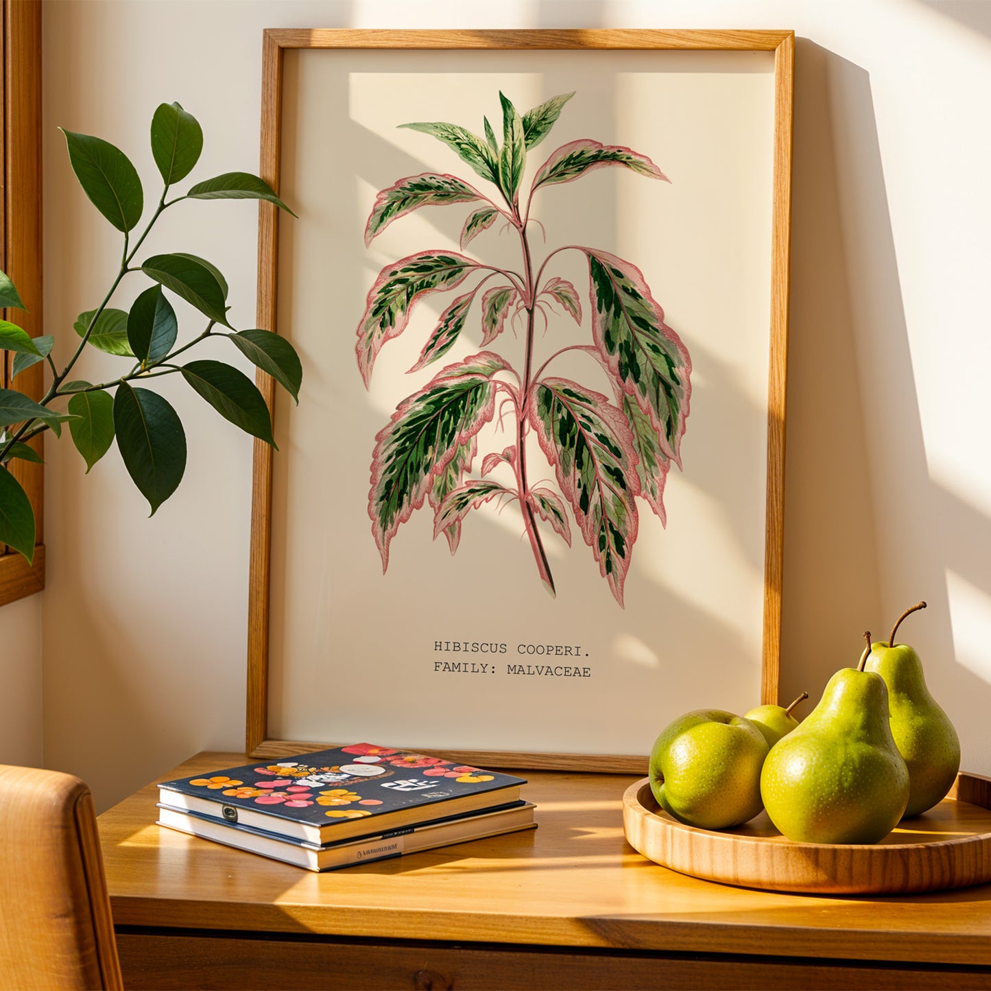Variegated Hibiscus Print