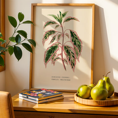 Variegated Hibiscus Print