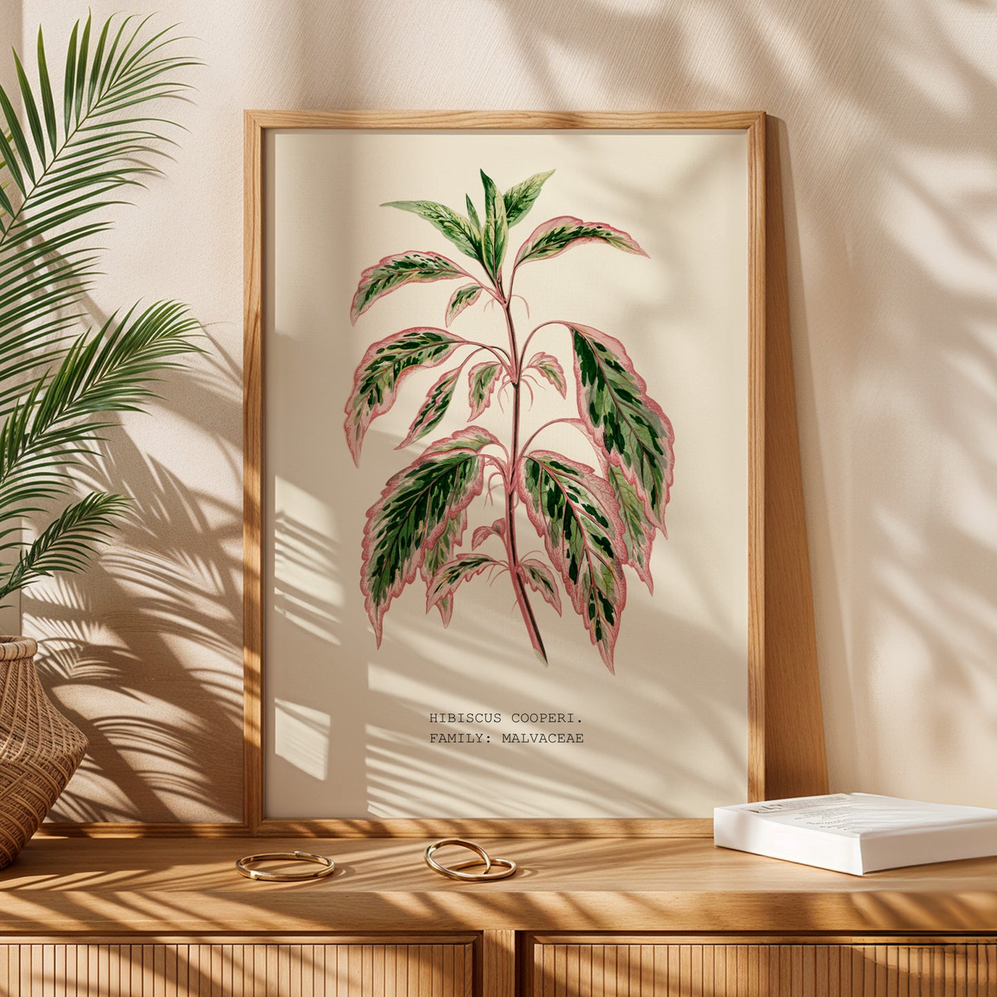 Variegated Hibiscus Print