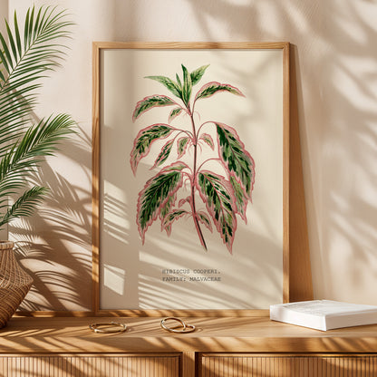Variegated Hibiscus Print