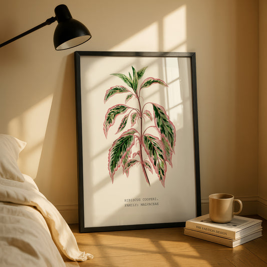 Variegated Hibiscus Print