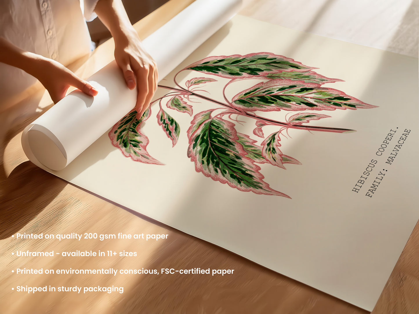 Variegated Hibiscus Print
