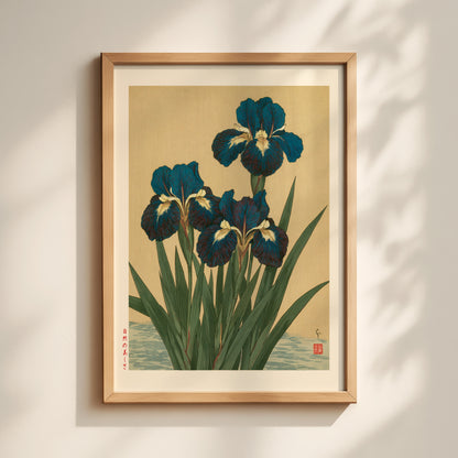 Iris Flowers Print