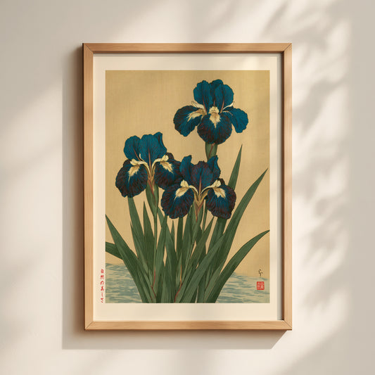 Iris Flowers Print